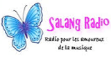 salang radio