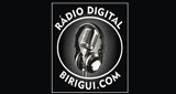 rádio digital birigui