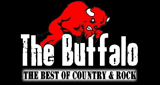 the buffalo