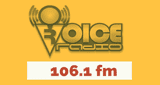 Stream voice radio
