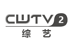 chengwu tv 2 arts & entertainment