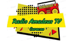 radio amadeus