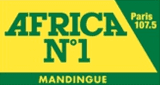 radio africa n°1 mandingue