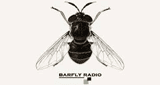 barfly radio