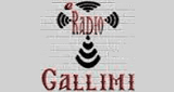 Radio Gallimi 