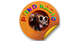 Stream pond radio