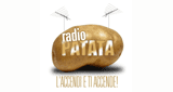 radio patata