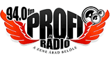 Stream Profi Radio