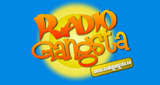 Stream Radio Gangsta