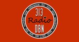 313 dbn radio