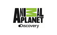 animal planet discovery tv