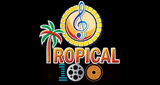 tropical 100 - light dance