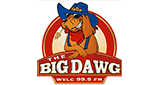 Stream The Big Dawg